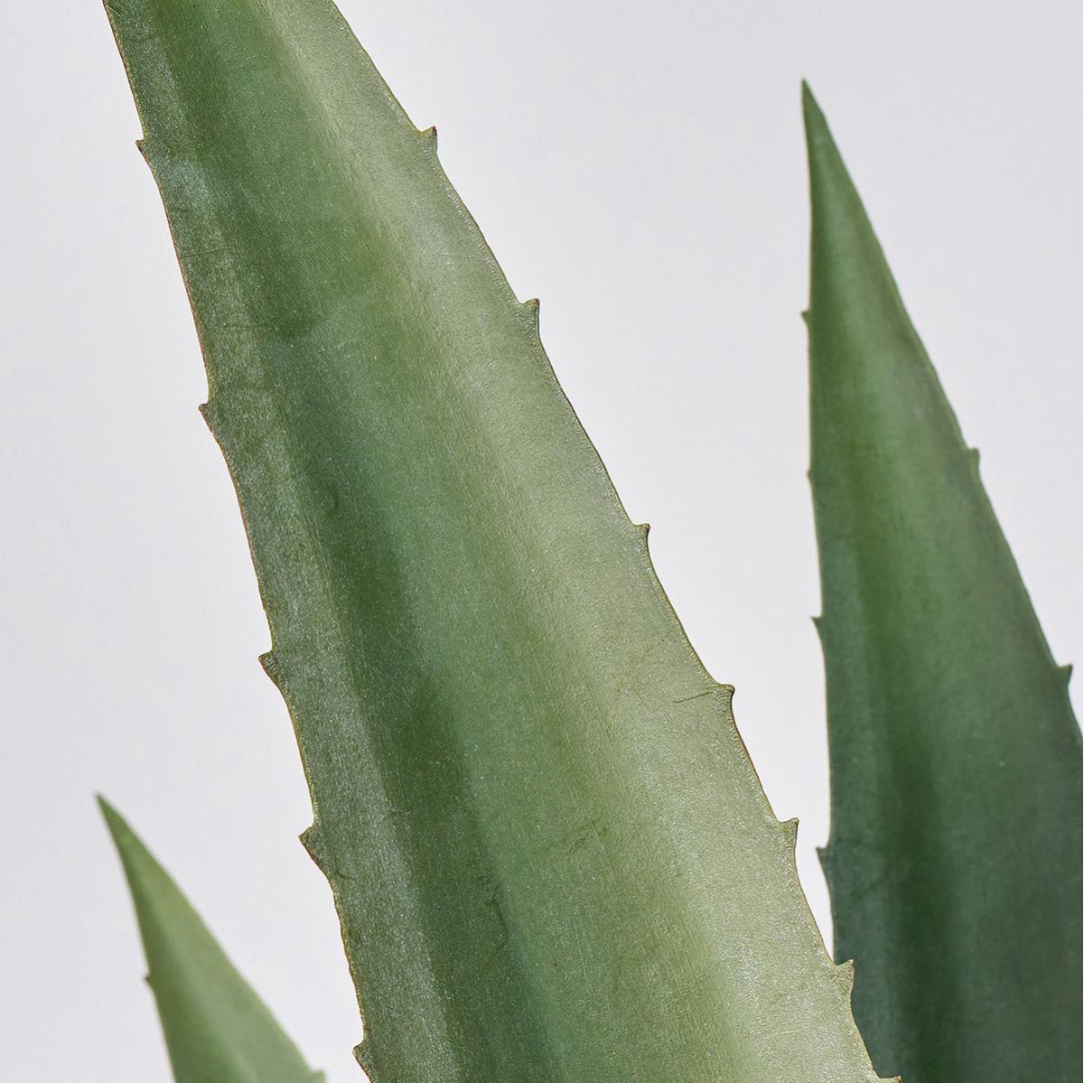 特価◎【人工観葉植物】MAGIQ東京堂/ユッカロストラータポット GREEN グリーン/FG003825