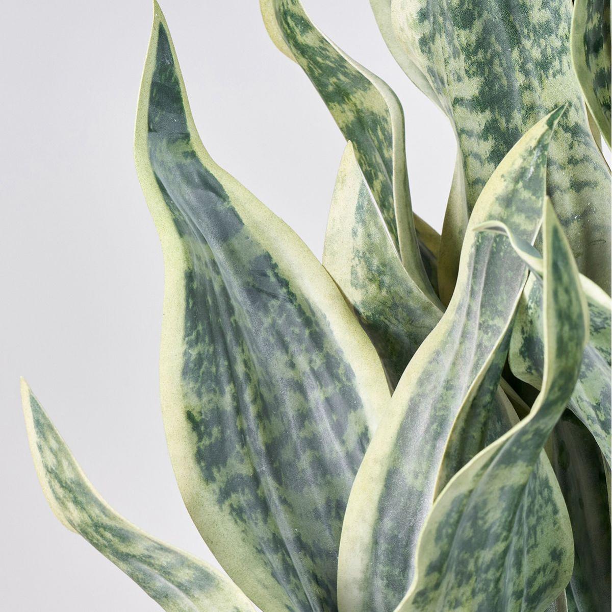 特価◎【人工観葉植物】MAGIQ東京堂/サンスベリアゼラニカポット GREEN グリーン/FG003826