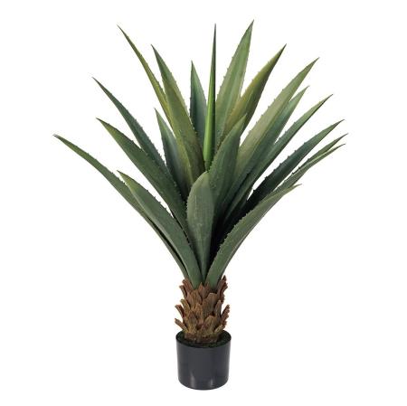 特価◎ユッカロストラータポット(光触媒加工商品) GREEN グリーン/ZV003825