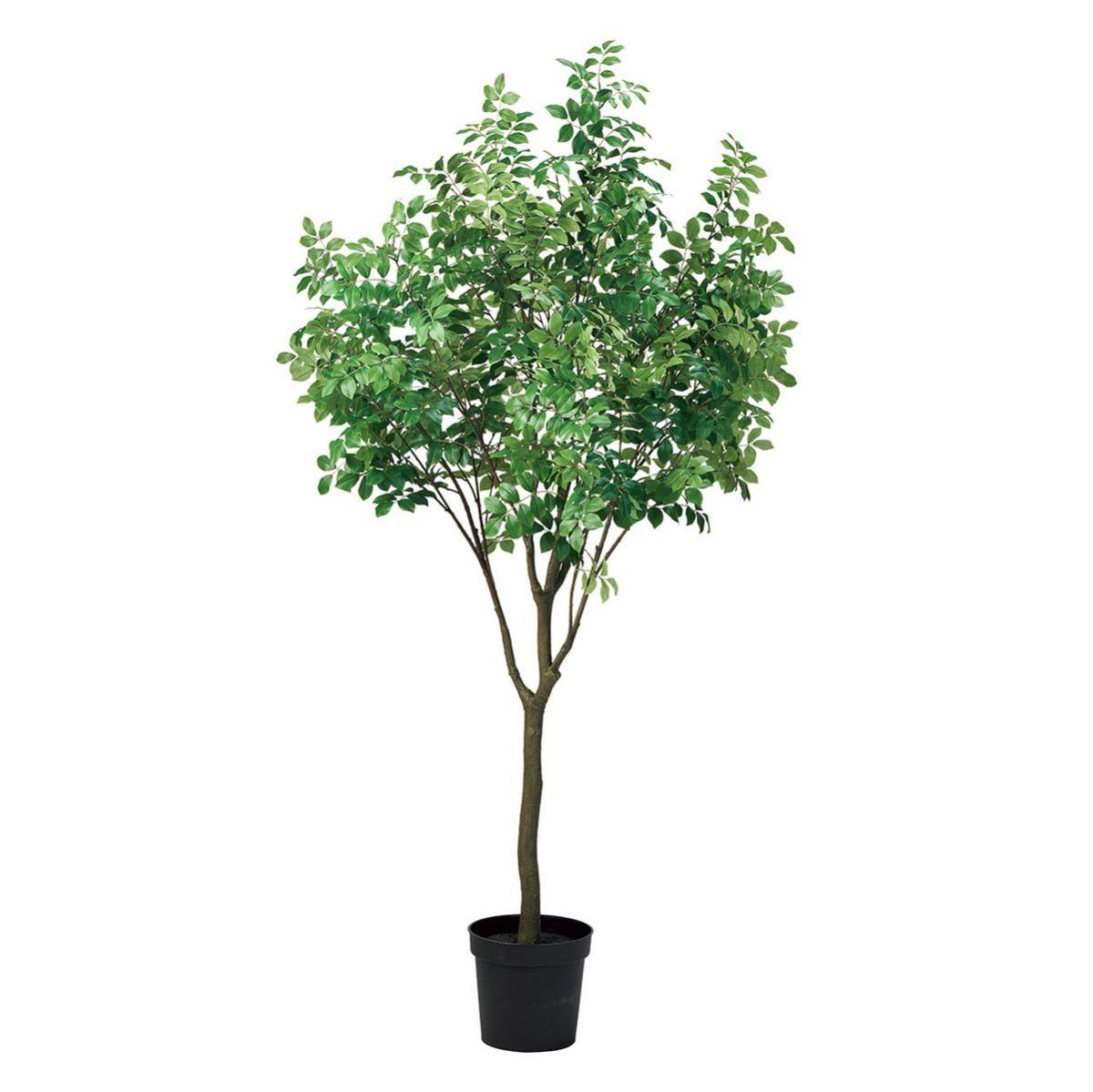 特価◎【直送】【人工観葉植物】MAGIQ東京堂/トネリコグランデポット GREEN グリーン/FG302615 ※返品・代引・キャンセル不可