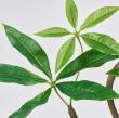 特価◎【人工観葉植物】MAGIQ東京堂/パキラツイストミニポット GREEN グリーン/FG302613