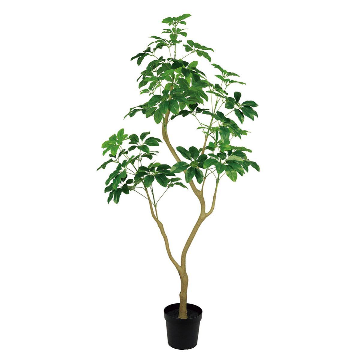 特価◎【直送】★AX★シェフレラジョイントポットM(光触媒加工商品) GREEN グリーン/ZV302604 ※返品・代引・キャンセル不可