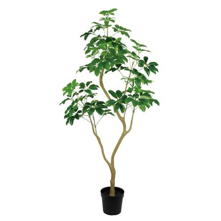 特価◎【直送】★AX★シェフレラジョイントポットM(光触媒加工商品) GREEN グリーン/ZV302604 ※返品・代引・キャンセル不可