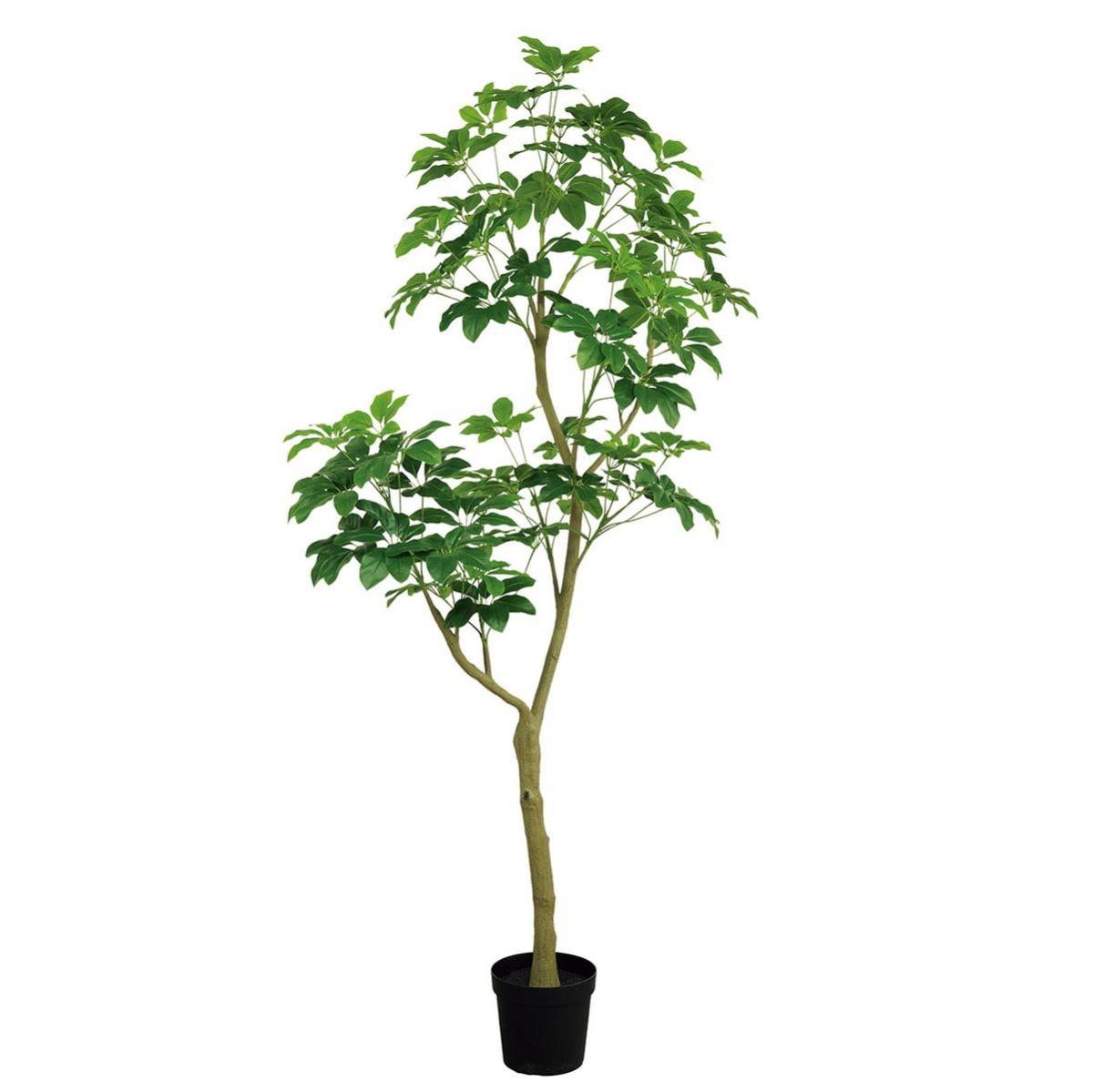 特価◎【直送】★AX★シェフレラジョイントポットL(光触媒加工商品) GREEN グリーン/ZV302605 ※返品・代引・キャンセル不可