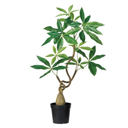 特価◎パキラツイストミニポット(光触媒加工商品) GREEN グリーン/ZV302613