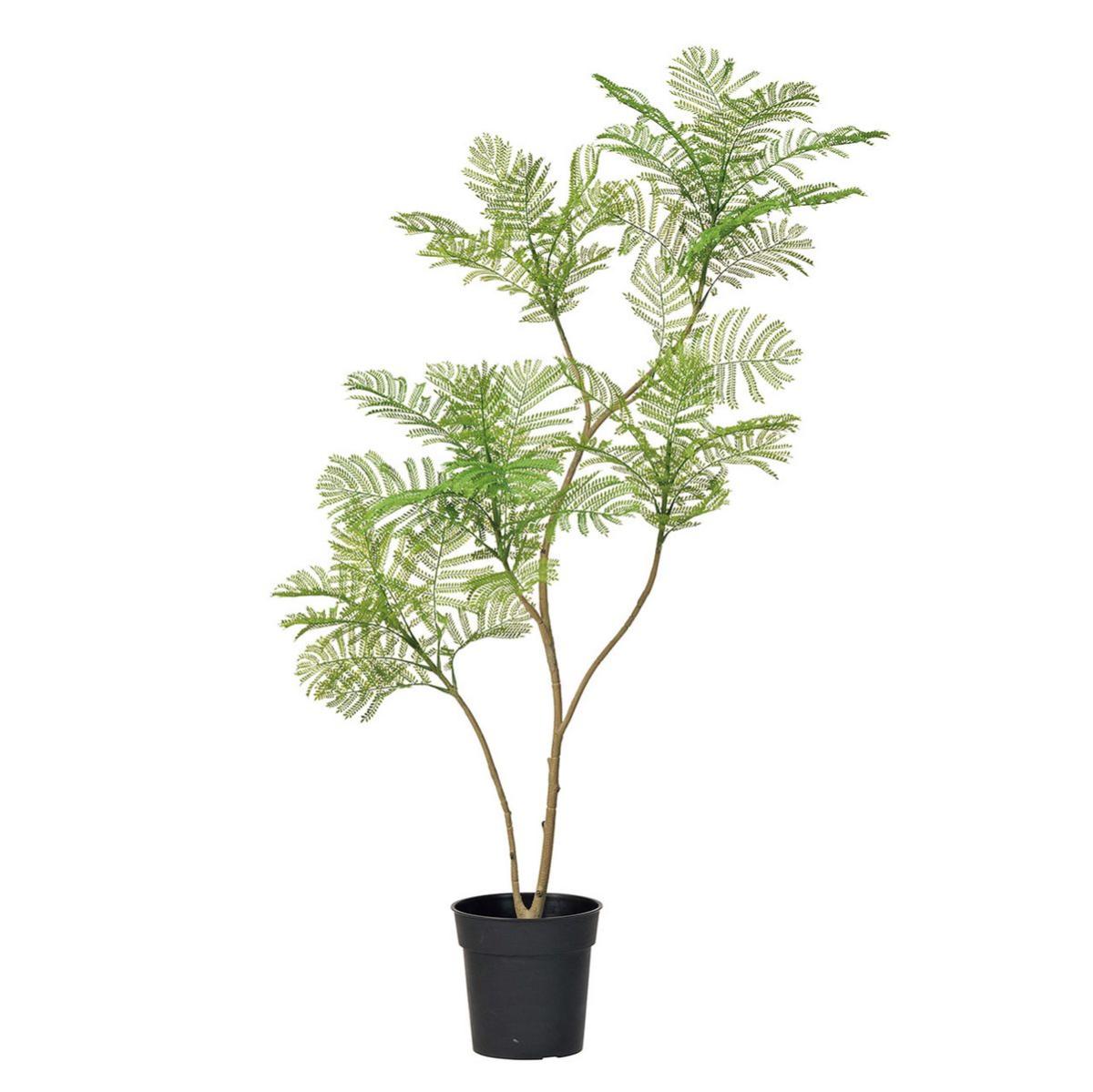 特価◎エバーフレッシュポット(光触媒加工商品) GREEN グリーン/ZV302614