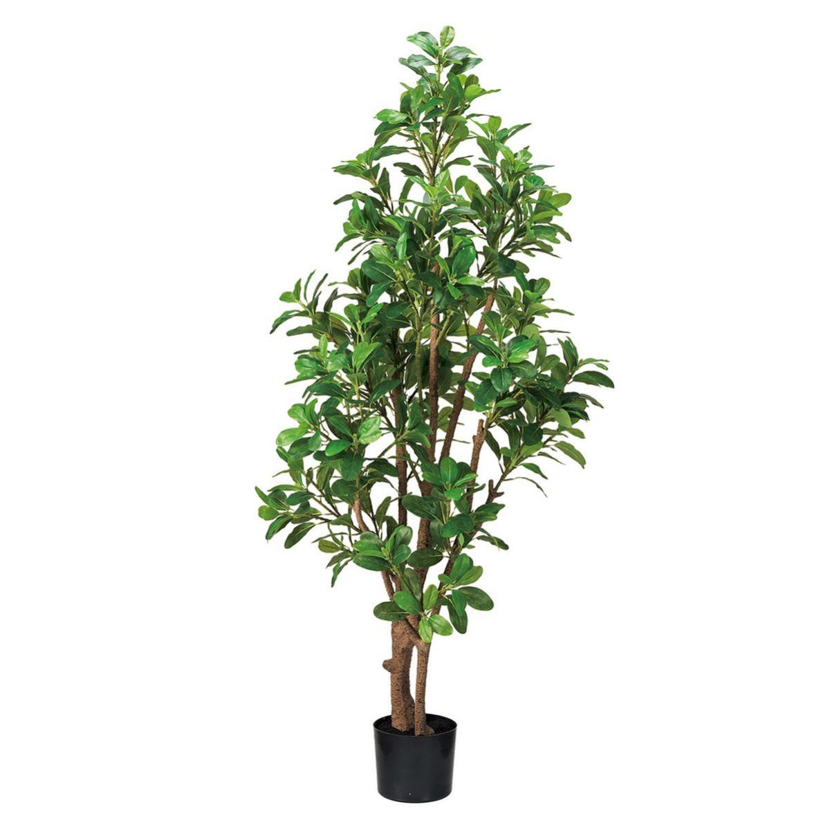 特価◎トベラジョイントポット(光触媒加工商品) GREEN グリーン/ZV001330