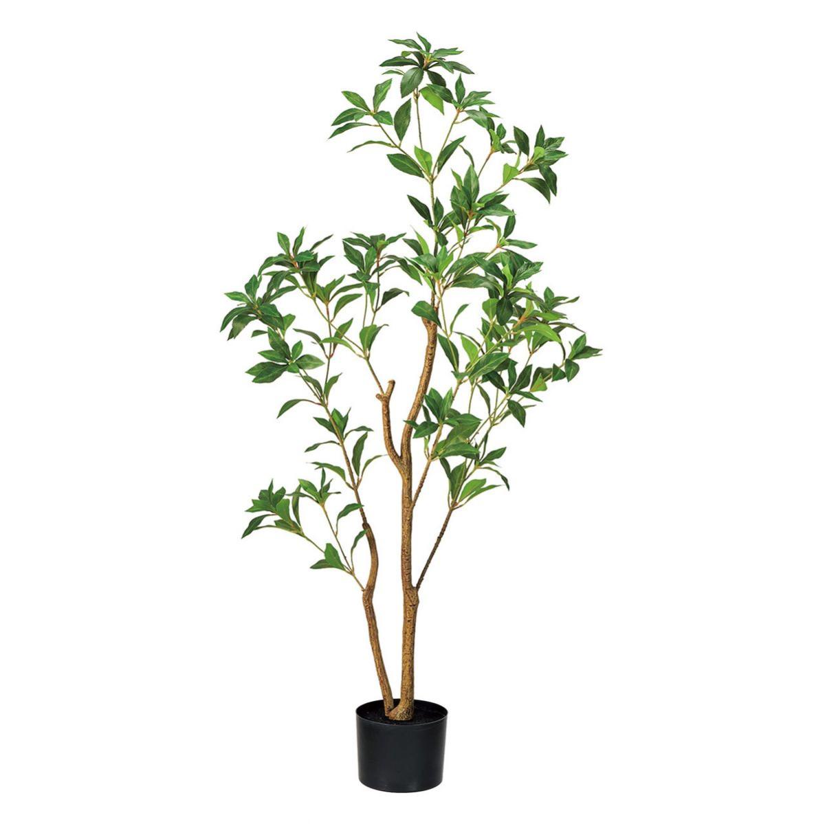 特価◎【人工観葉植物】MAGIQ東京堂/シロダモミディポット GREEN グリーン/FG002500