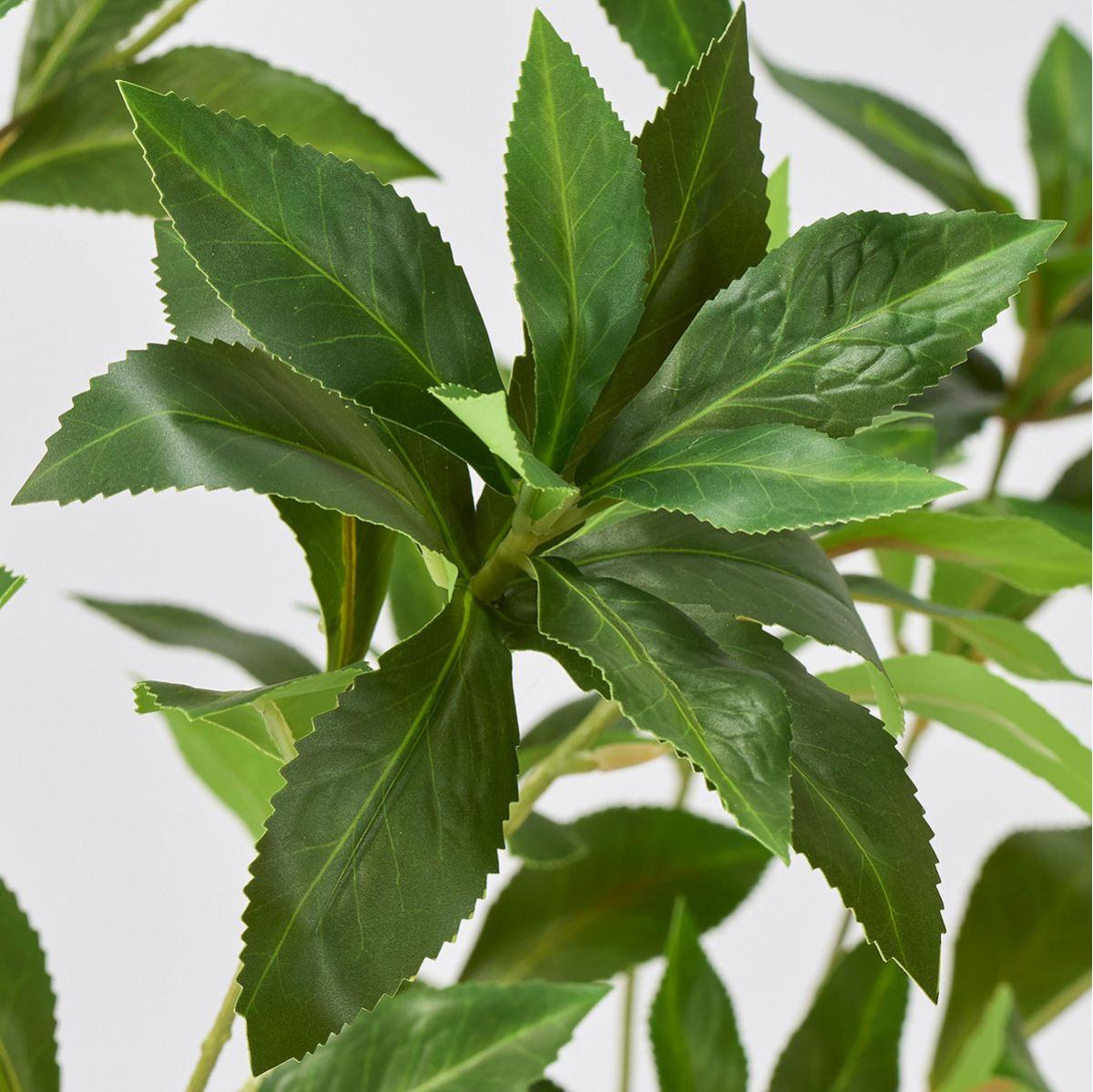 特価◎【人工観葉植物】MAGIQ東京堂/シロダモミディポット GREEN グリーン/FG002500