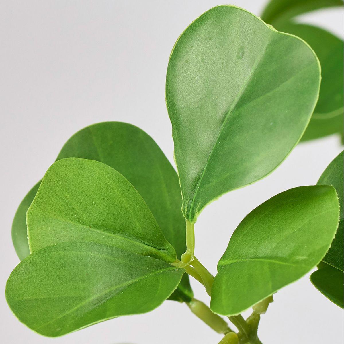 特価◎【人工観葉植物】MAGIQ東京堂/ファイカスハートリーフポット GREEN グリーン/FG007700