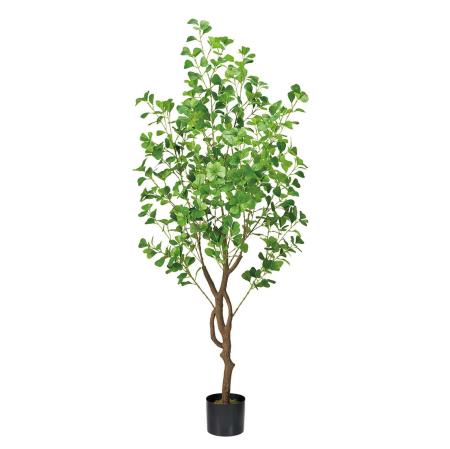 特価◎ファイカスハートリーフポット(光触媒加工商品) GREEN グリーン/ZV007700