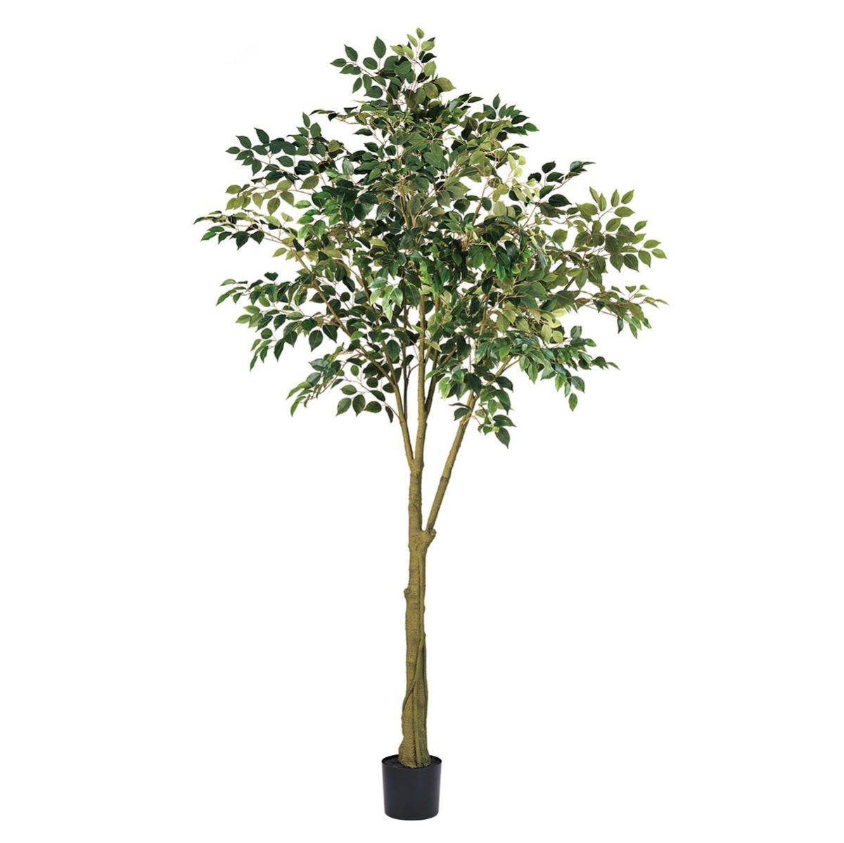 特価◎【直送】★AX★ファイカスジョイントポット(光触媒加工) GREEN グリーン/ZV000677 ※返品・代引・キャンセル不可