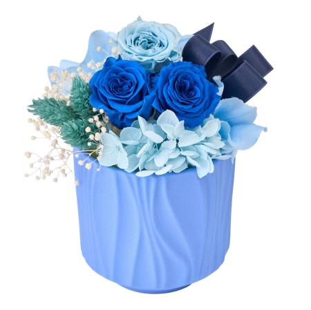 【プリザーブド】ココ #5  ブルー ブルー/ZY006339-005