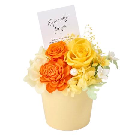 【プリザーブド】カレンII #104 イエローミックス イエローミックス/ZY006341-104