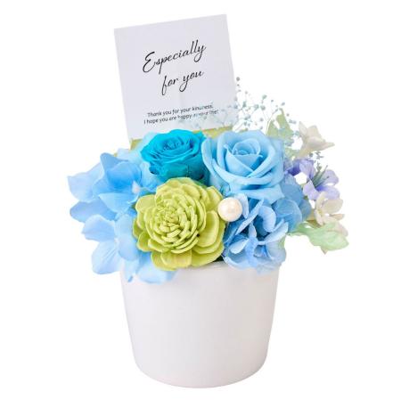 【プリザーブド】カレンII #105 ブルーミックス ブルーミックス/ZY006341-105