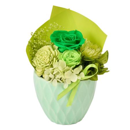 【プリザーブド】コロン #24 グリーン グリーン/ZY006340-024