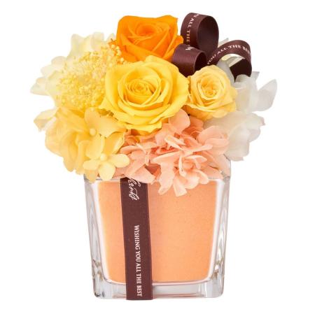 【プリザーブド】メルキューブ #9  オレンジ オレンジ/ZY006343-009