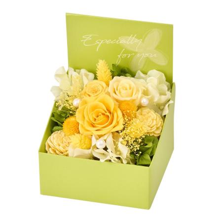 【プリザーブド】エクラン #4  イエロー イエロー/ZY006344-004