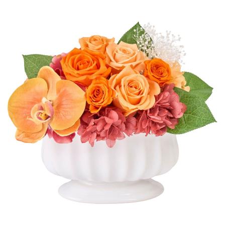 【プリザーブド】アマンダ #9  オレンジ オレンジ/ZY006346-009