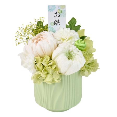 【プリザーブド】桃奈(ももな) #24 グリーン グリーン/ZY005313-024