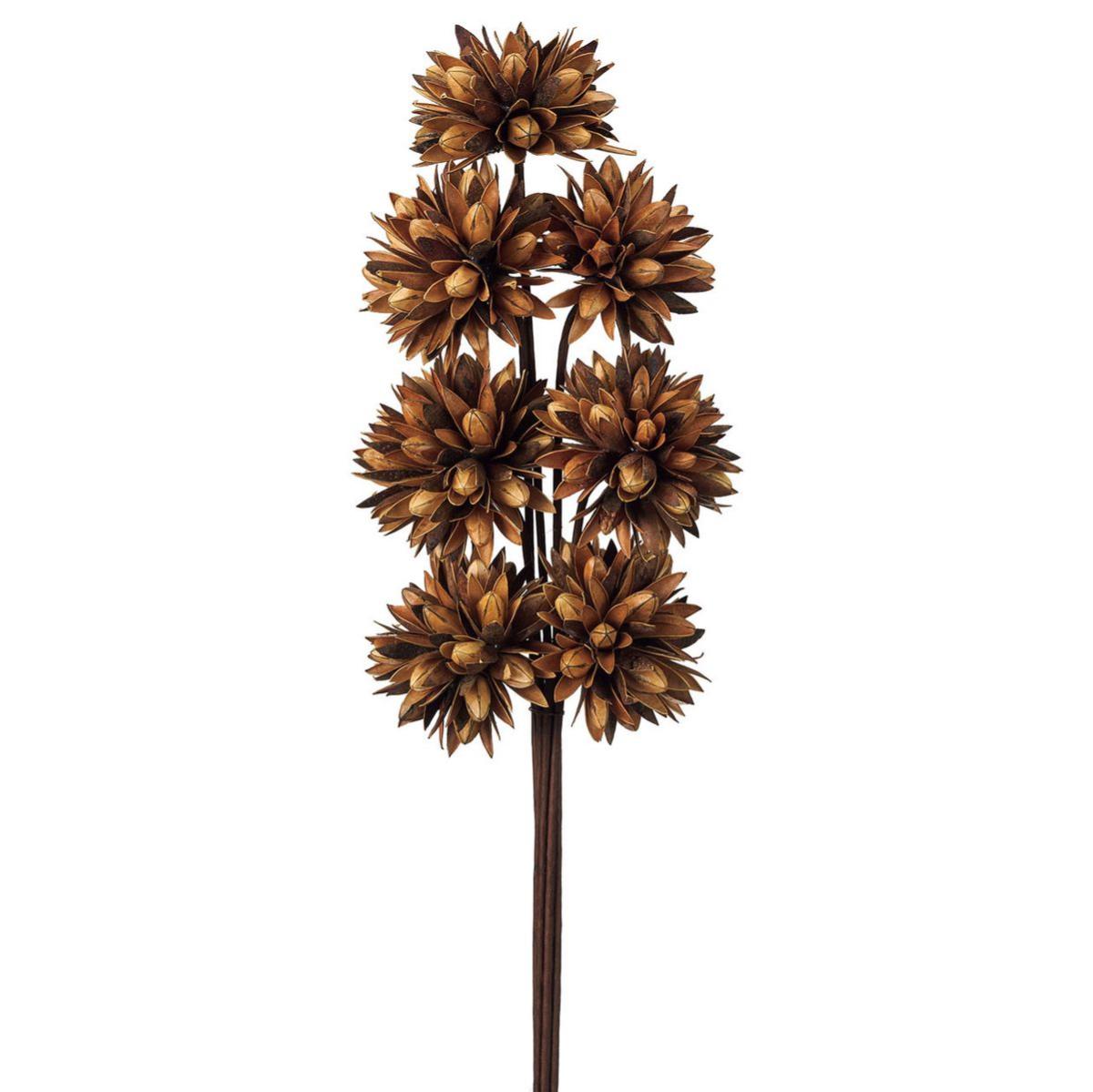 【ドライ】チスパ ナチュラル /DI010003-102