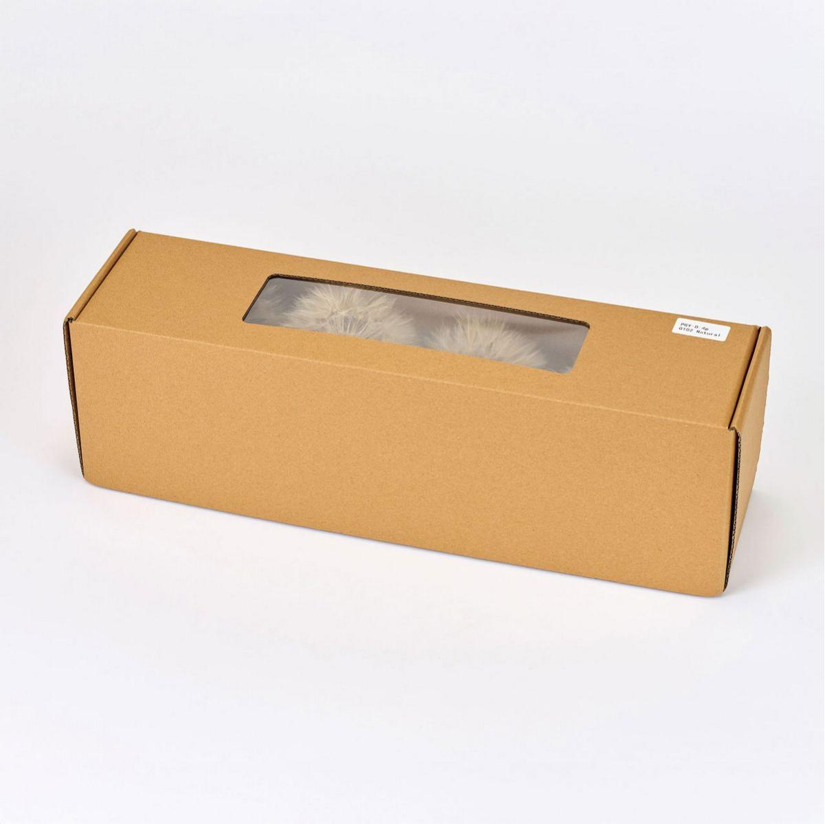 【ドライ】タンポポ大 ナチュラル /DI010007-102