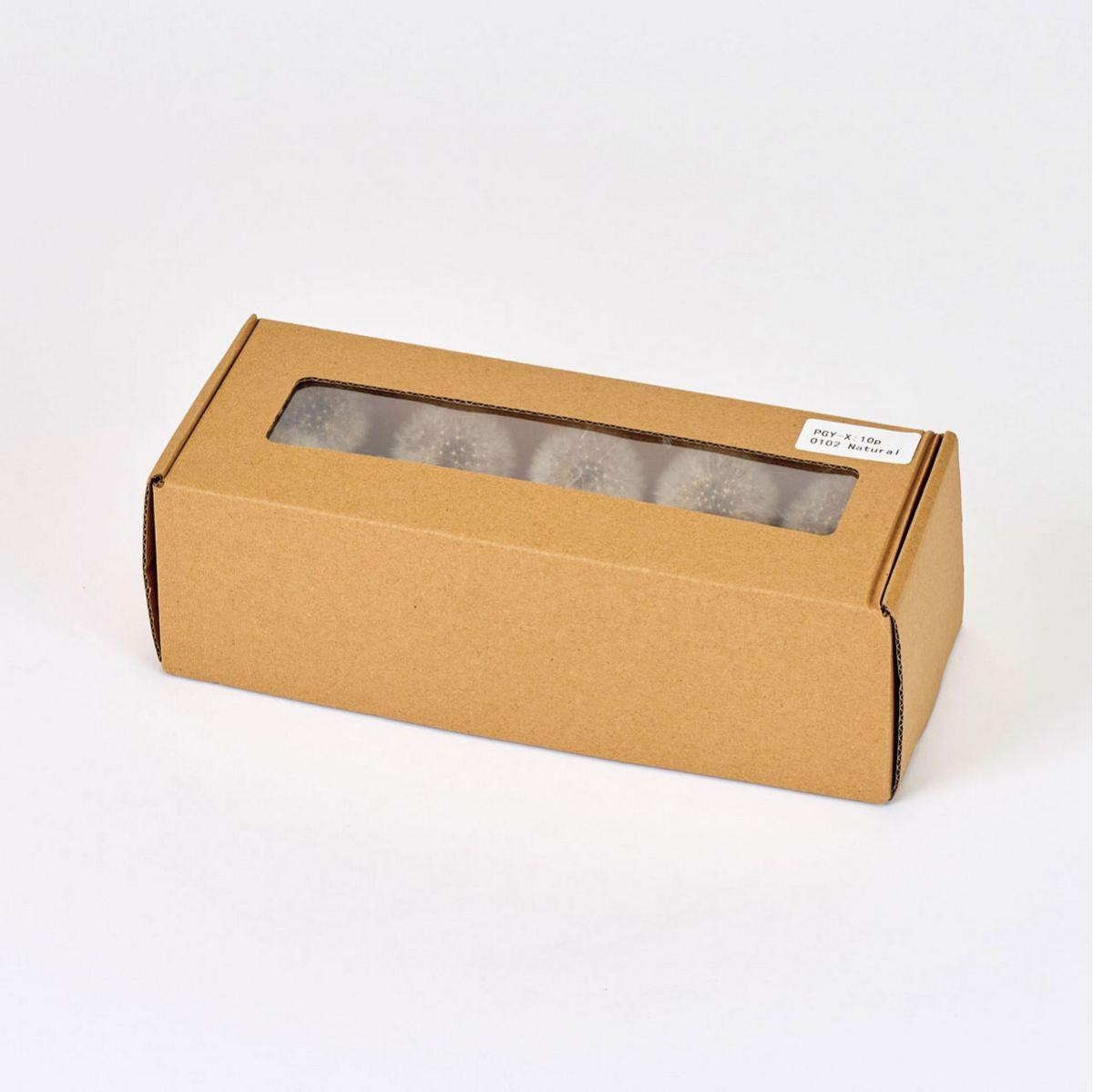 【ドライ】タンポポ小 ナチュラル /DI010008-102