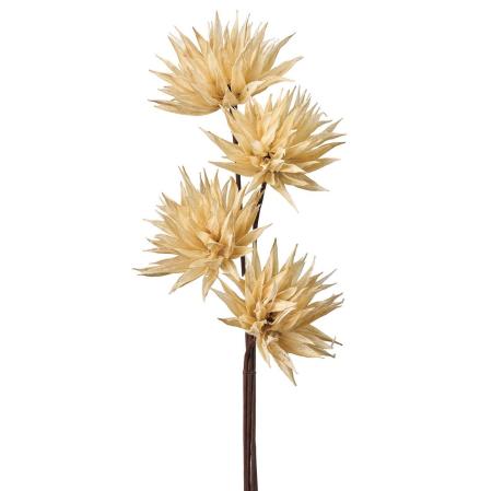 【ドライ】ベビーマンチャ ホワイト /DI010002-101