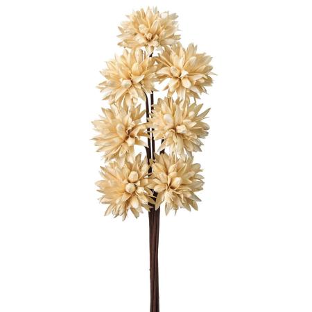 【ドライ】チスパ ホワイト /DI010003-101