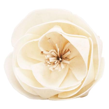 【ドライ】ソラ ナニワバラ 白 /YF145576