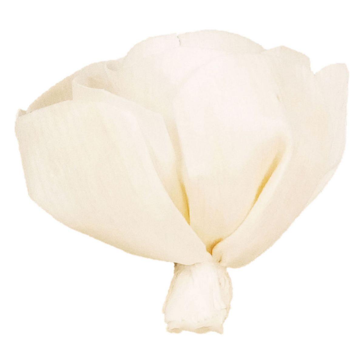 【ドライ】ソラ ナニワバラ 白 /YF145576