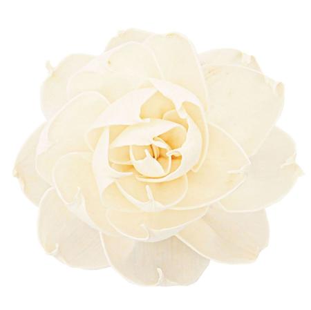 【ドライ】ソラ ロサ 白 /YF149574