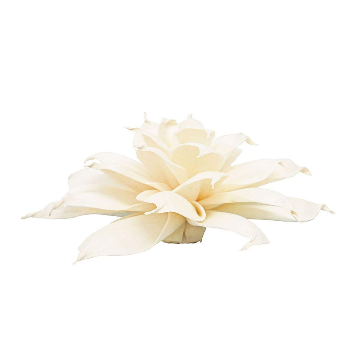 【ドライ】ソラ マリーゴールド 白 /YF149581