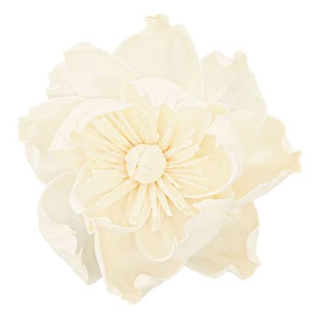 【ドライ】ソラ サボテン 白 /YF149598