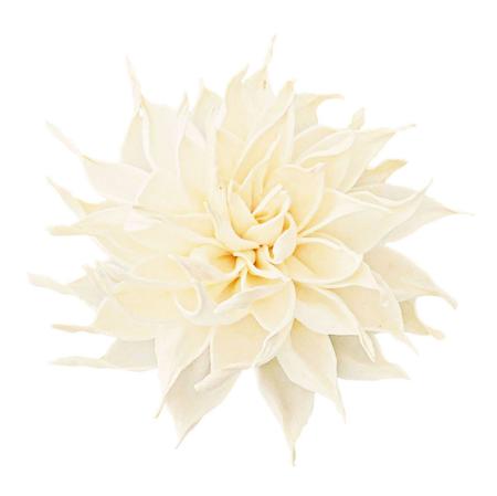 【ドライ】ソラ セルリア 白 /YF149697