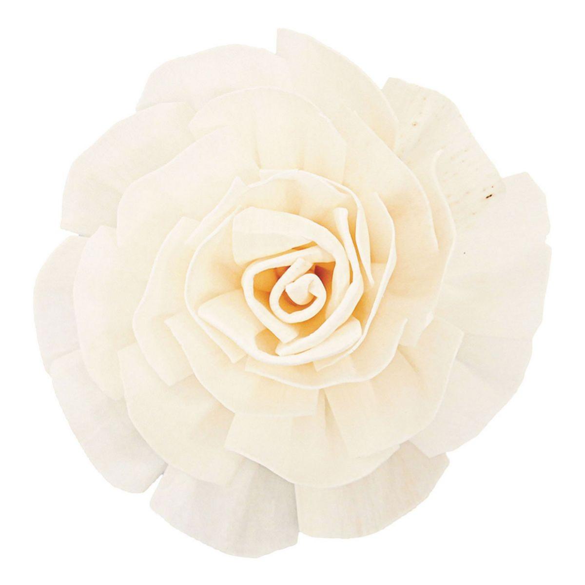 【ドライ】ソラ カメリア 白 /YF149703