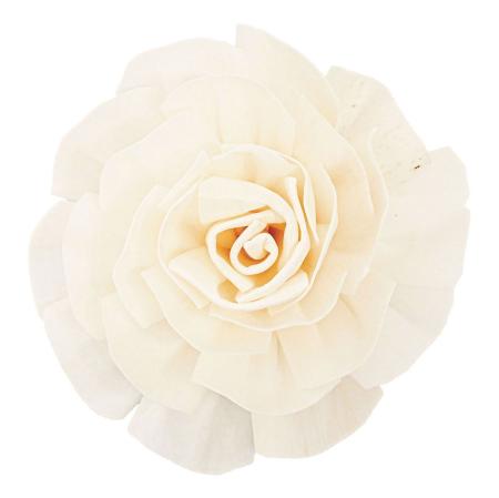 【ドライ】ソラ カメリア 白 /YF149703