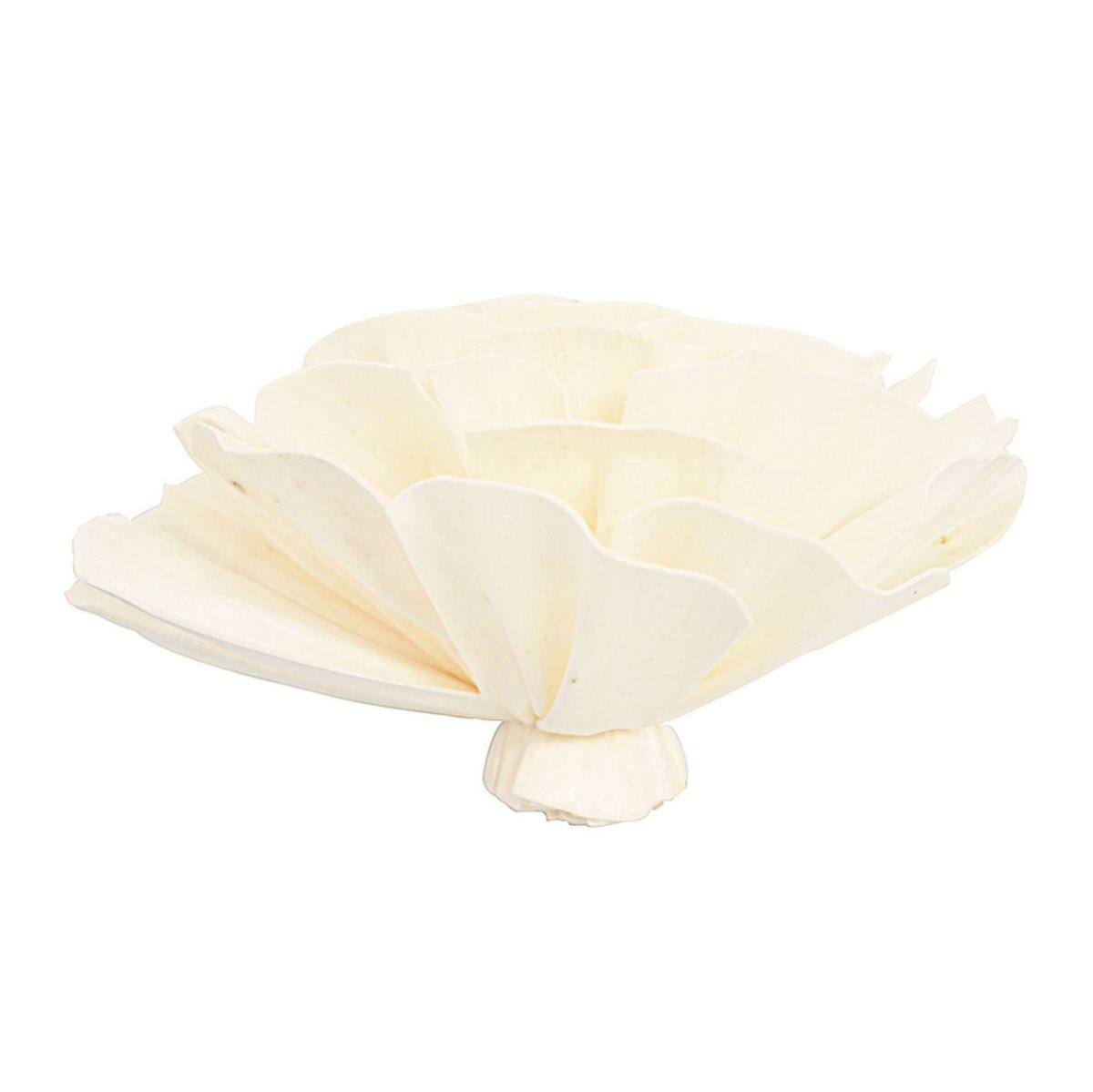 【ドライ】ソラ カメリア 白 /YF149703