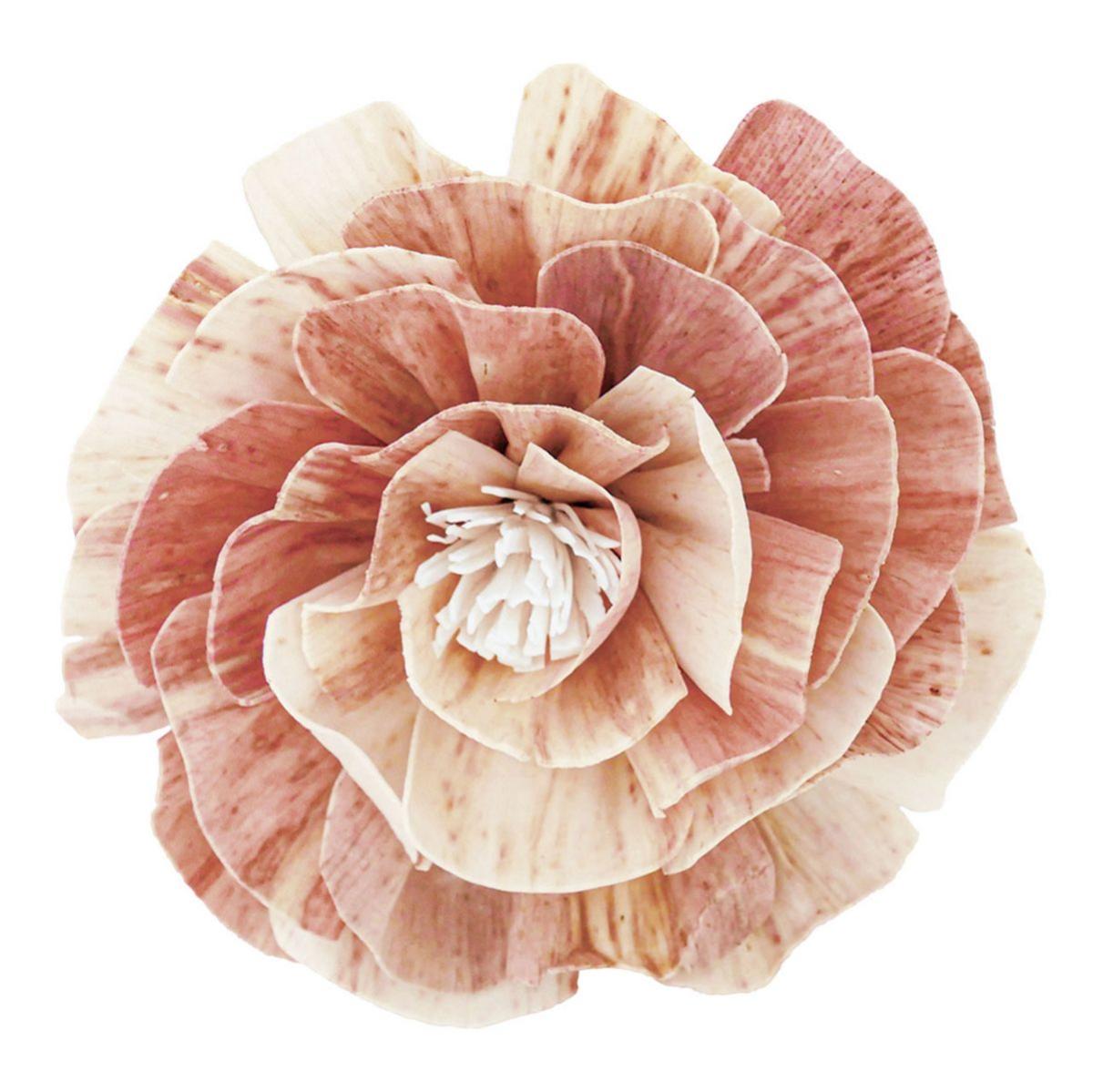 【ドライ】ソラ カーネ ルビー 茶 /YF149710