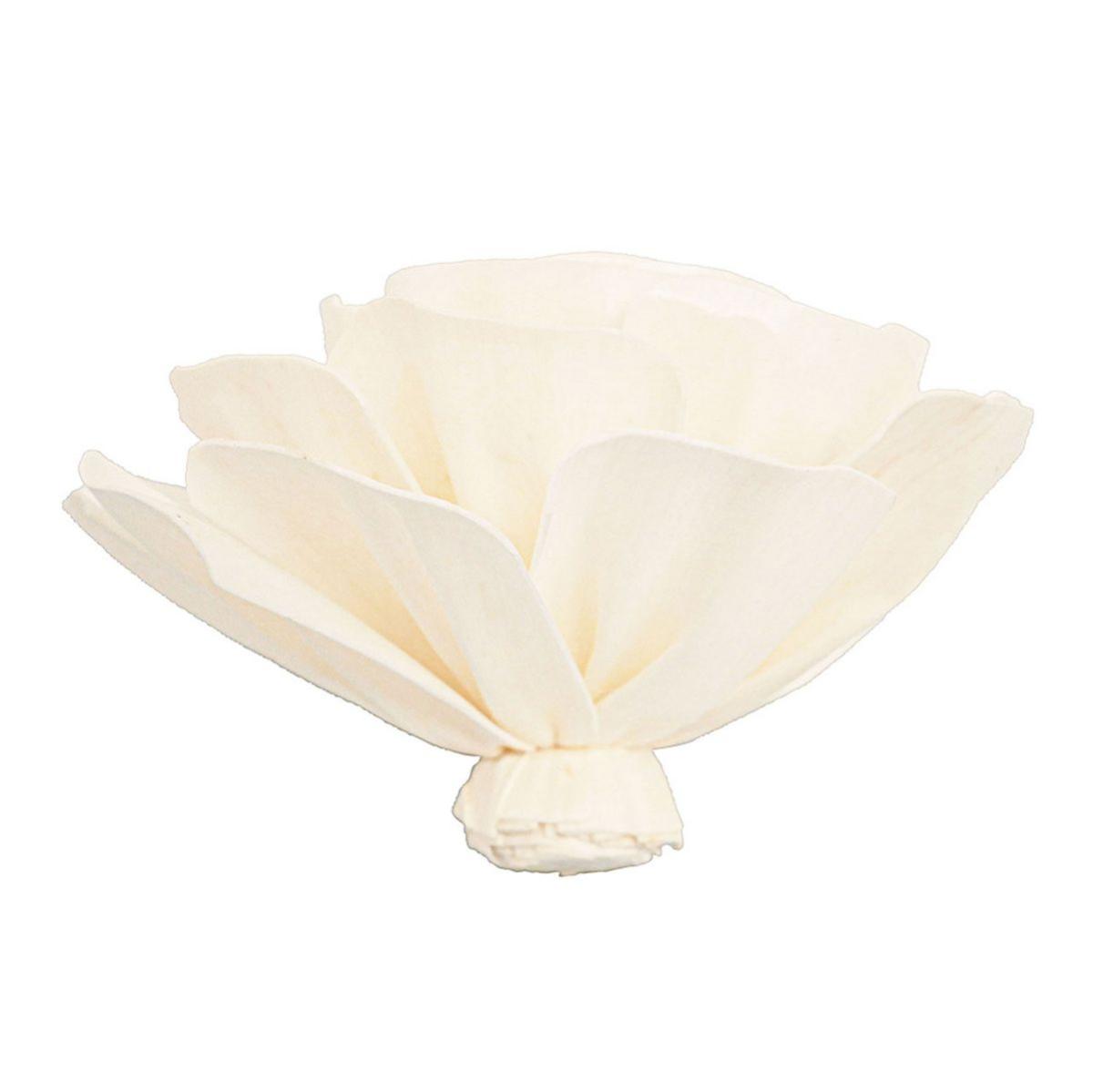 【ドライ】ソラ コットンフラワー 白 /YF149727