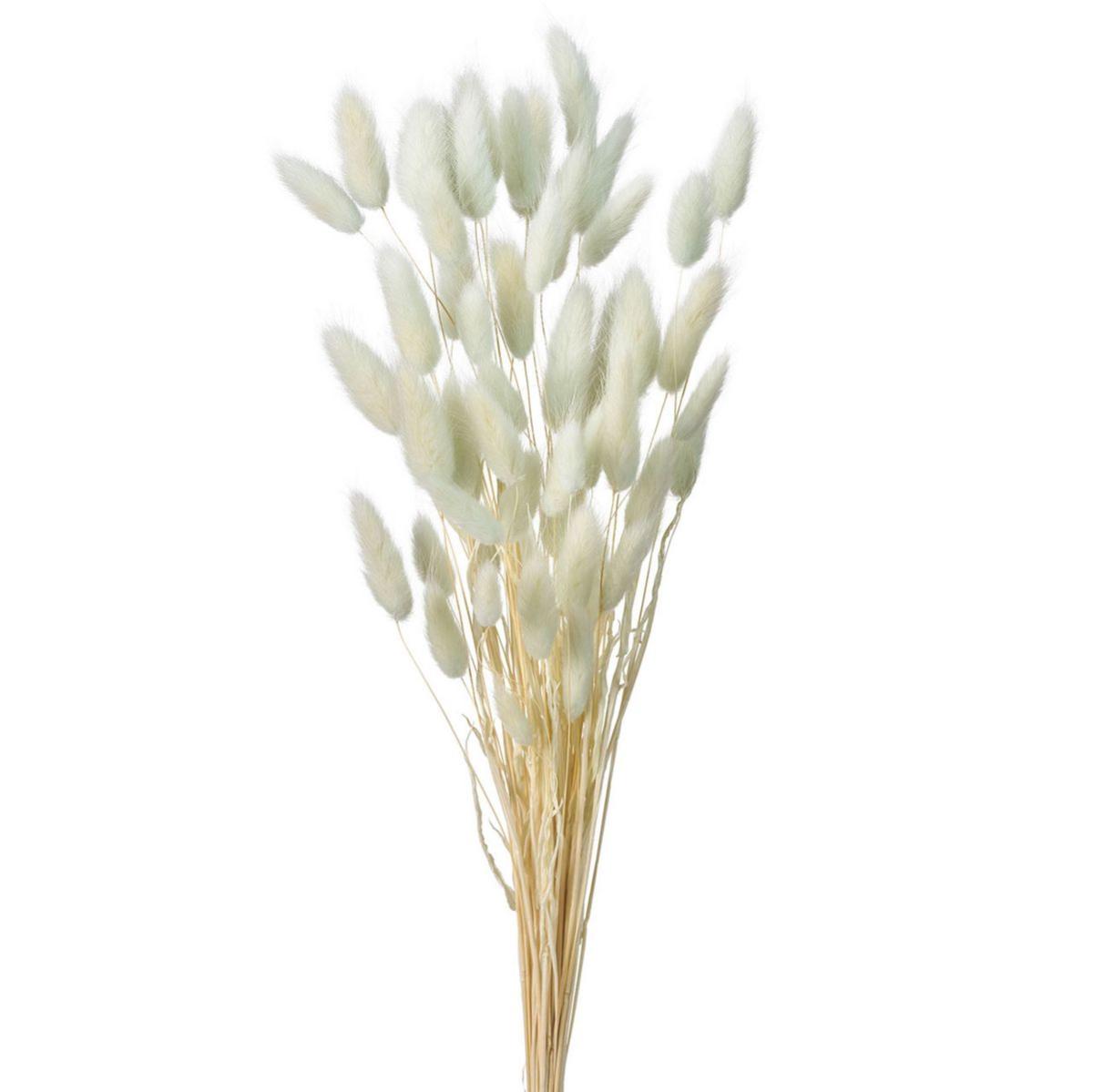 特価◎【ドライ】ラグラス アイスグレー /FD004583-151