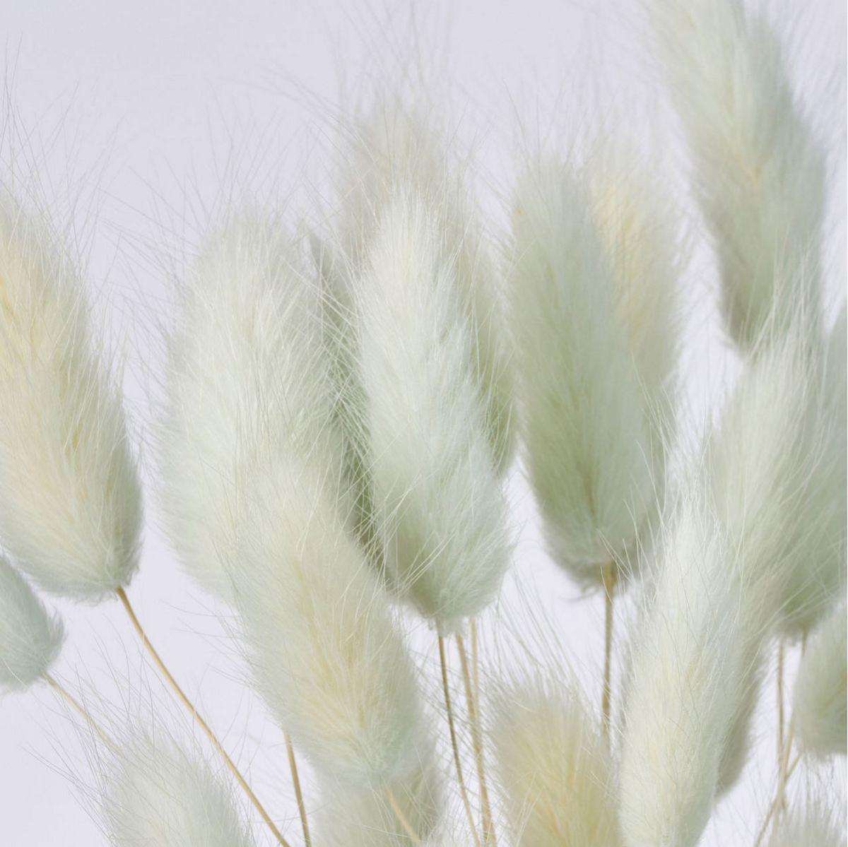 特価◎【ドライ】ラグラス アイスグレー /FD004583-151