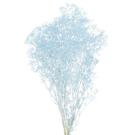 特価◎【プリザーブド】ミニカスミ草 フロストブルー /FD004551-134