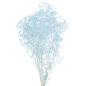 特価◎【プリザーブド】ミニカスミ草 フロストブルー /FD004551-134