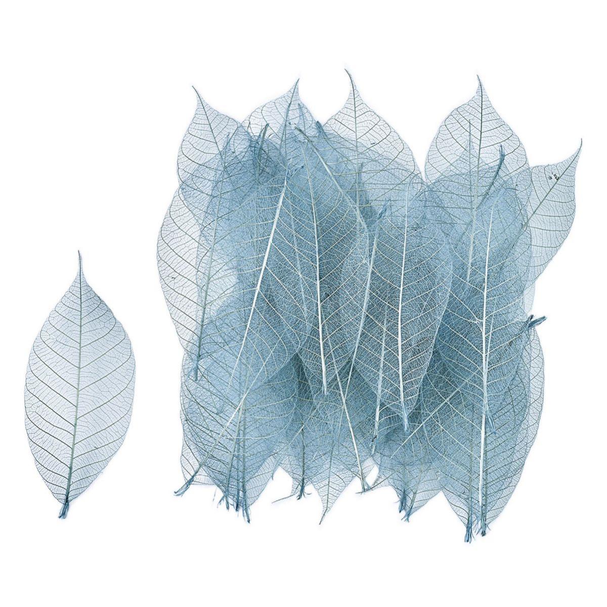 特価◎【ドライ】ミニスケルトンリーフ・小 フロストブルー /FD051493-134