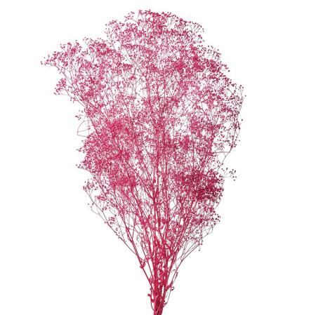 【プリザーブド】ミニカスミ草 トロピカルピンク /FD004551-028