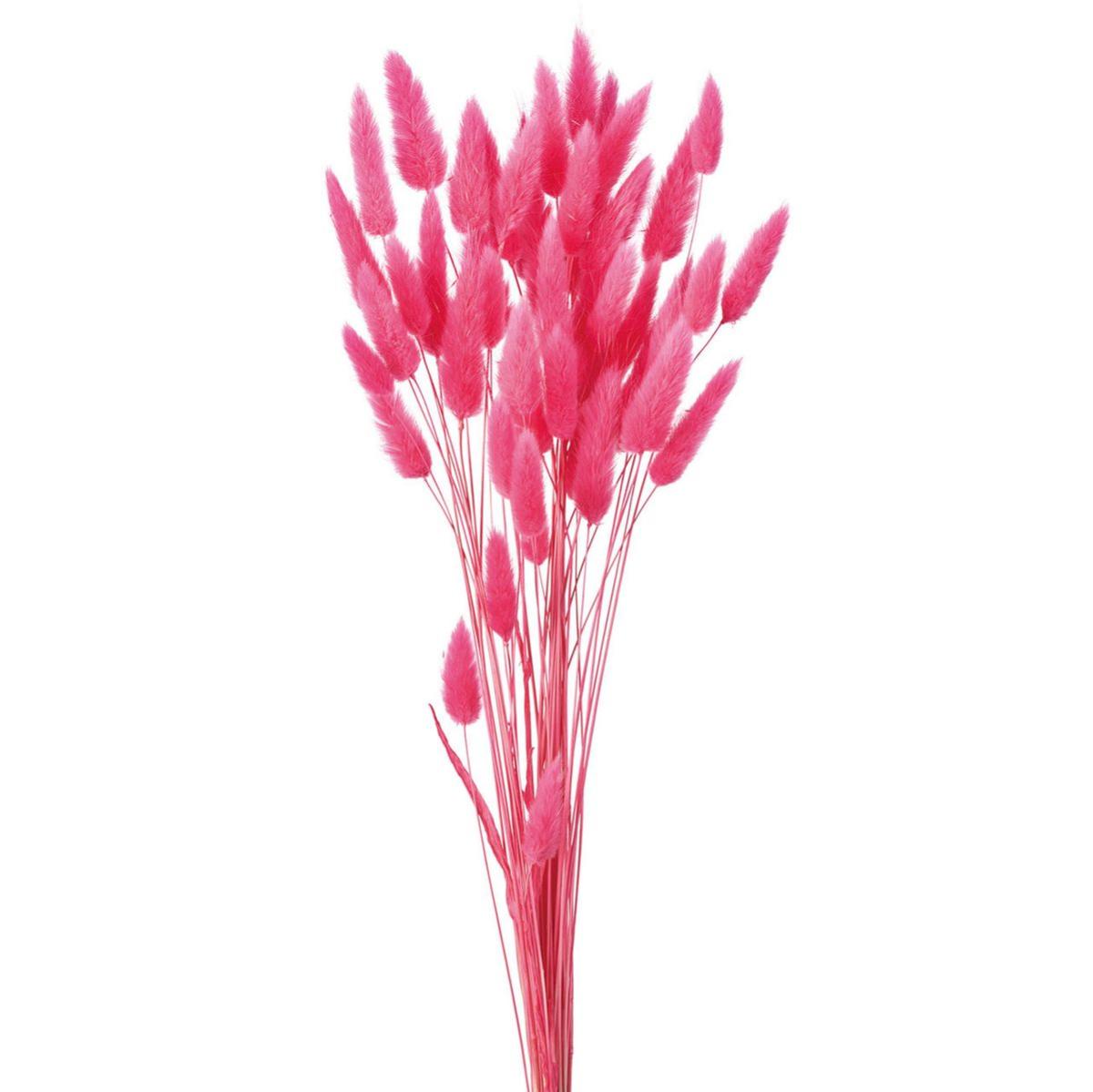 【ドライ】ラグラス トロピカルピンク /FD042050-028