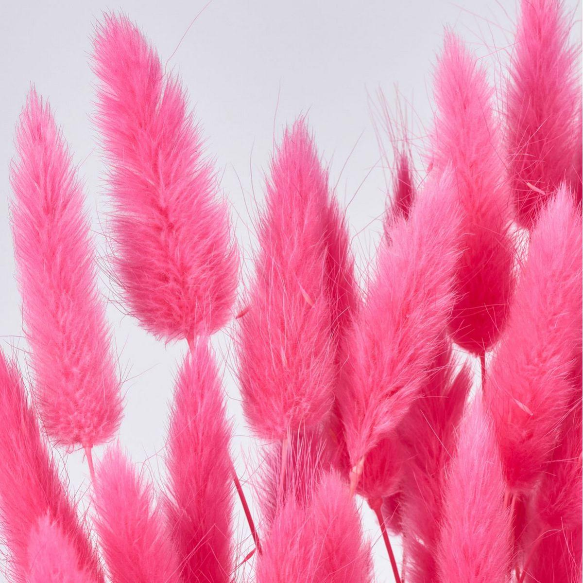 【ドライ】ラグラス トロピカルピンク /FD042050-028