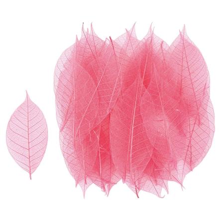 特価◎【ドライ】ミニスケルトンリーフ・小 トロピカルピンク /FD051493-028