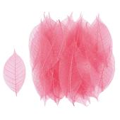 特価◎【ドライ】ミニスケルトンリーフ・小 トロピカルピンク /FD051493-028